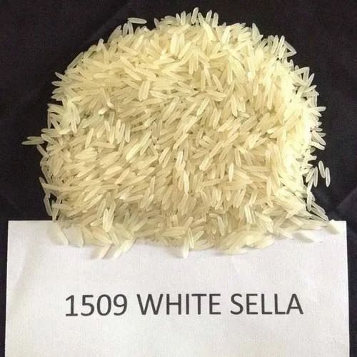 1509 Basmati Rice