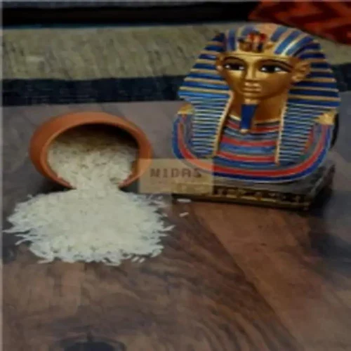 Basmati Rice Grain, Steam