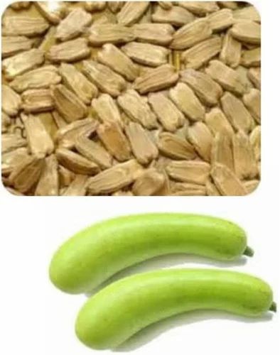 Conventional Sorakkai seeds for Plantation seed, Variety / Grade: Export Quality