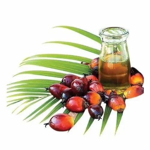 Rbd Palm Olein Cooking Oil