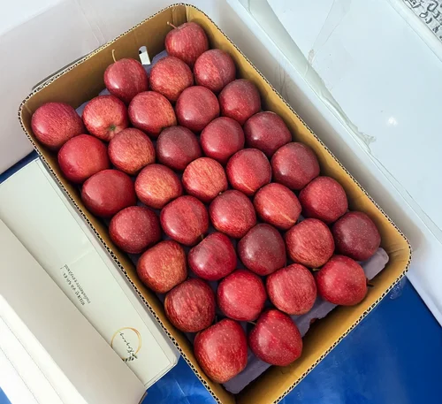 Himachali A Grade Fresh Shimla/Kinnaur Apple Fruit, Packaging Size: 18 Kg
