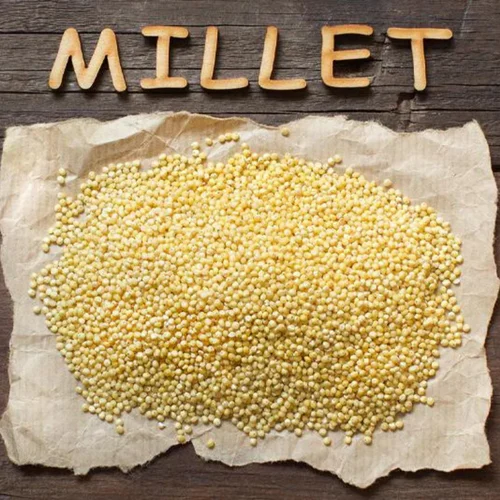 Packet White Unpolished Foxtail Millet, 50 Kg, High in Protein
