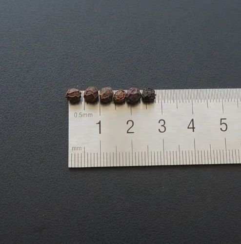 Black Pepper ., 100 kg