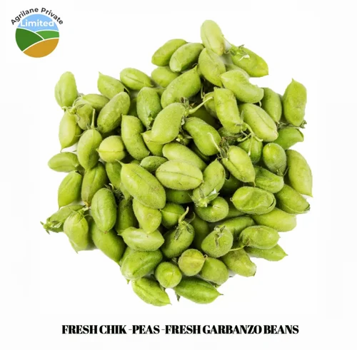 Fresh Chik Peas - Garbanzo Beans