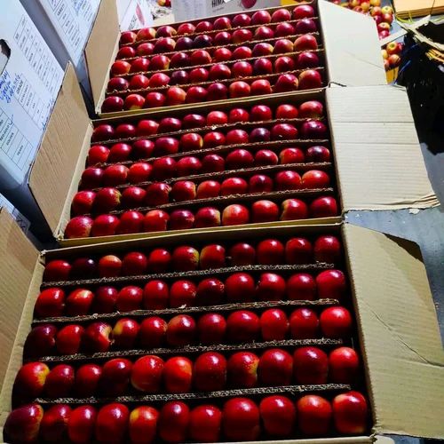 Himachali A Grade Fresh Himachal Apple, Packaging Size: 5 Kg, Packaging Type: Carton