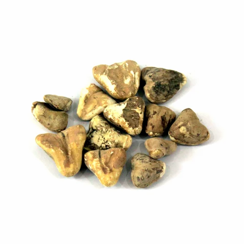 Dry Chestnuts Singhara, Packaging Size: 25 KG