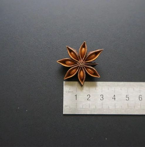 Star Anise ., Seeds, Packaging Size: Agrilane