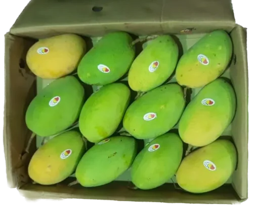 Fresh Langra Mango Fruit