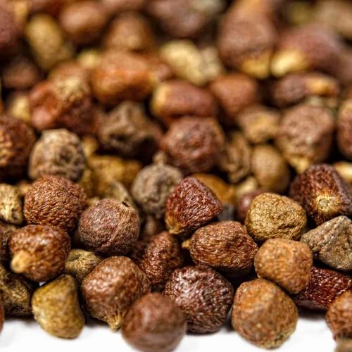 Grains of paradise Spices