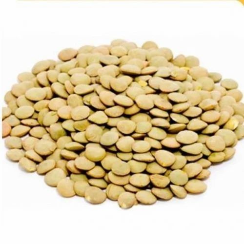 Agrilane Masoor Green Lentil ., Gluten Free, Packaging Size: 25 kg pp