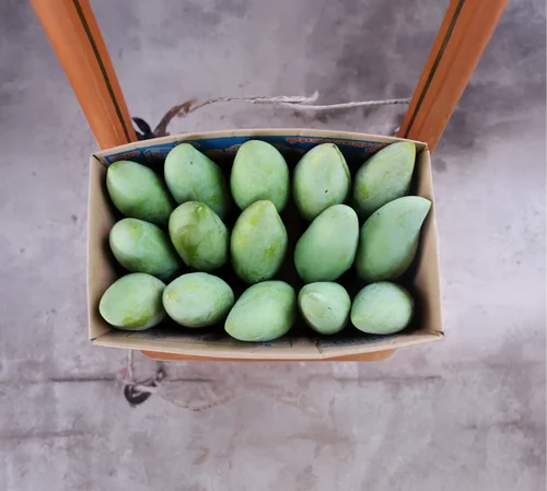 Green Raw Mango