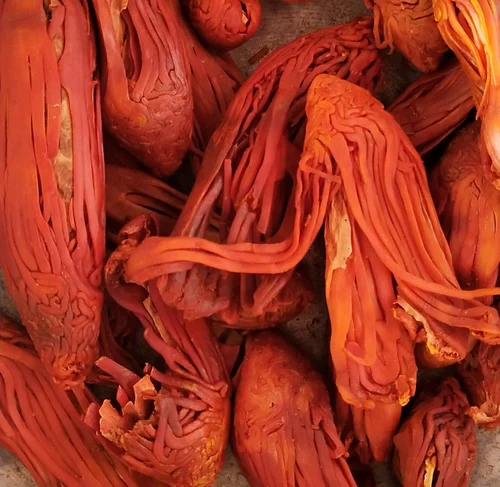 Wild Mace Ramapatri Spices, Whole