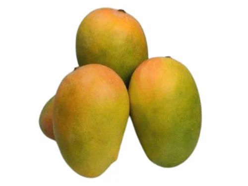 Gir Kesar Fresh Mango