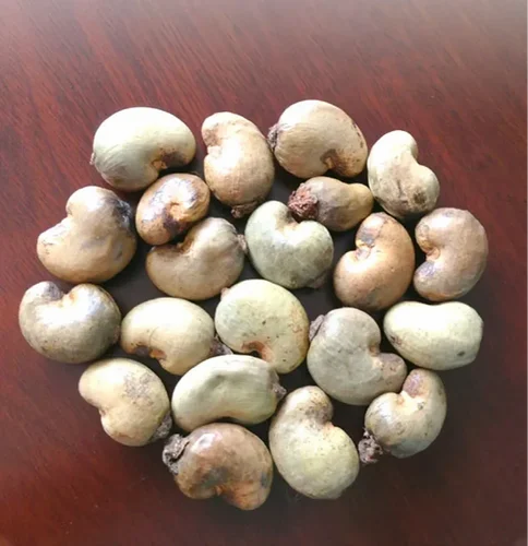 Plain Raw Cashew Nuts