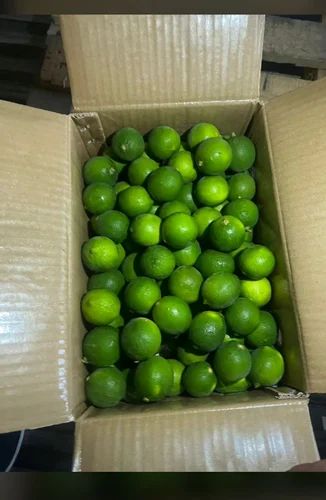 A Grade Maharashtra Fresh Seedless Lime, Packaging Size: 5 Kg, Packaging Type: Carton