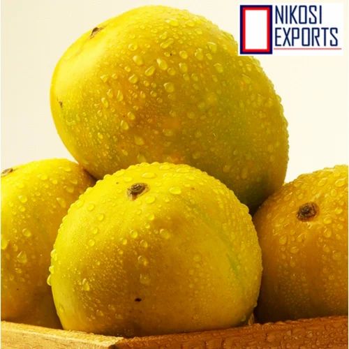 A Grade Yellow Alphonso Mango