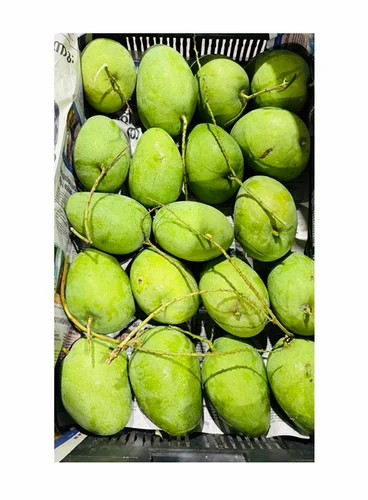 Fresh Banganapalli Mango