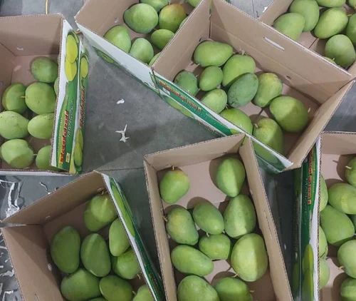 Alphonso Mango Exports