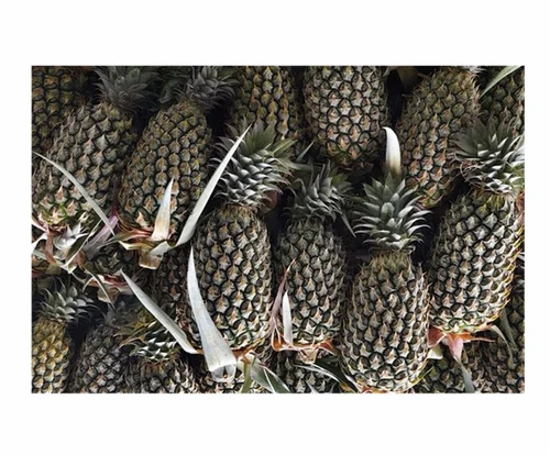 Fresh Pineapple Fruit