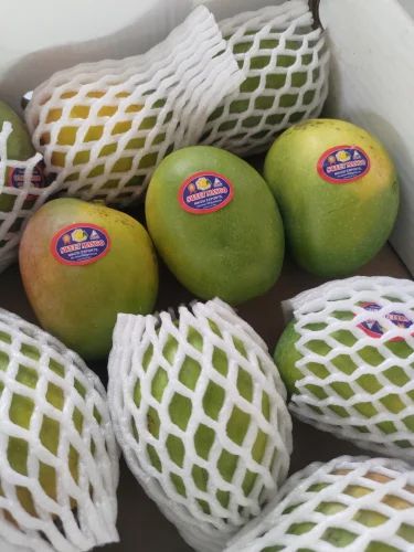 Fresh Alphonso Mango