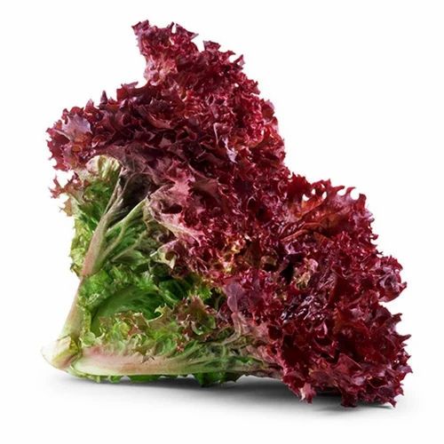 Normal Type Red A Grade Lollo Rosso Lettuce, Loose