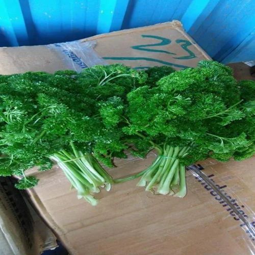 Conventional Fresh Vegetables, Variety / Grade: A Grade, 10 kg