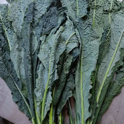 A Grade Fresh Kale Vegetable, 10 Kg