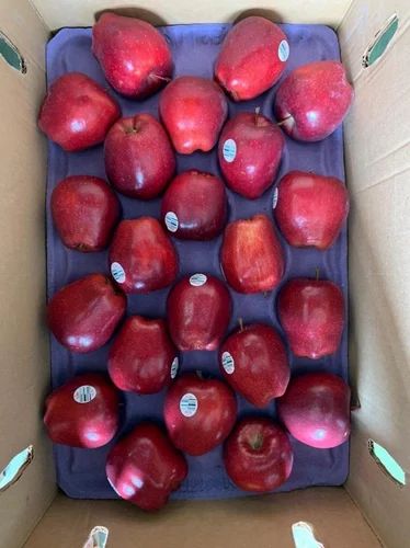 A Grade Apple Fruit
