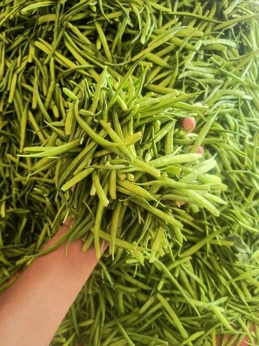 Organic Fresh Vegetables, Variety / Grade: A Grade