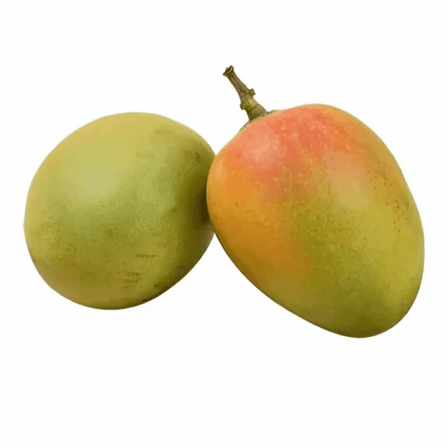 Green Fresh Langra Sindhura Mango