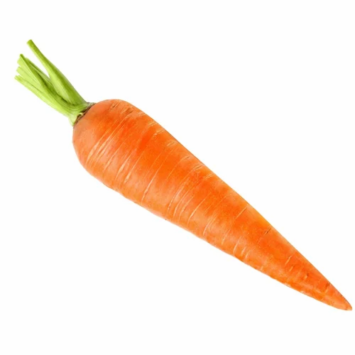 Orange Fresh Carrot
