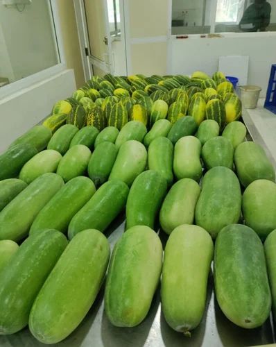 A Grade Vegetables Export, 5 Kg