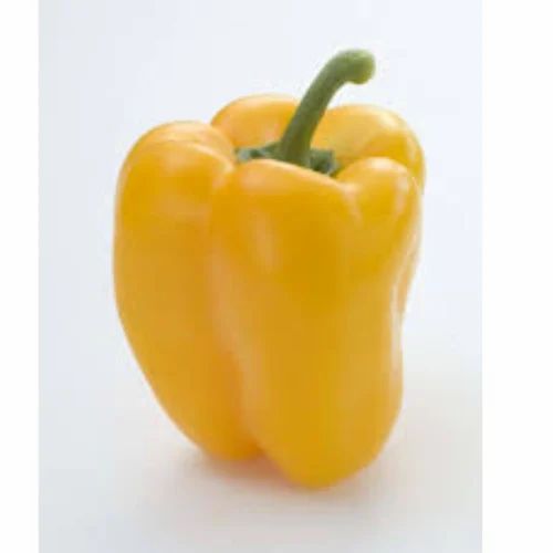 A Grade Fresh Yellow Capsicum Vegetable, Loose