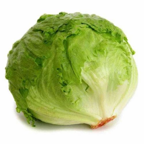 A Grade Fresh Lettuce Iceburg Vegetable, Loose