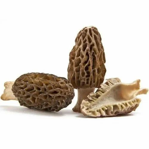 Gucchi Mushrooms 1Kg, Packaging Type: Packet