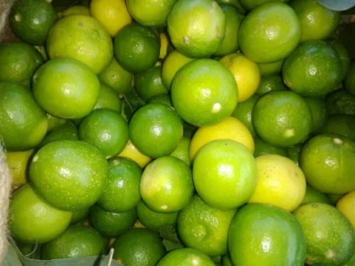 Organic Kagzi Lemons