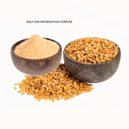 12 Month Yellow Methi Kuriya, Gunny Bag, Packaging Size: 25 Kg