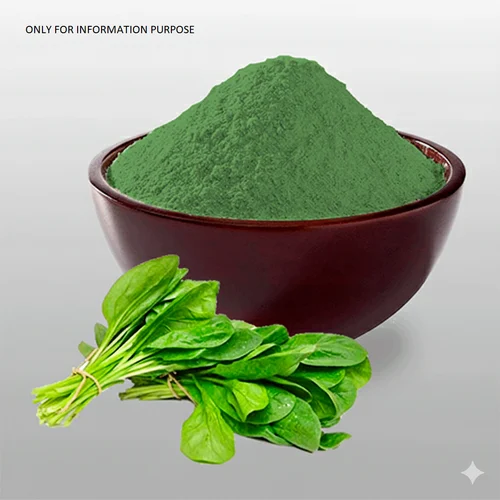 Sun Dried Spinach Powder (Food Grade) - 10 kg