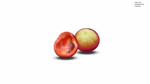 Loose Dry Kokum