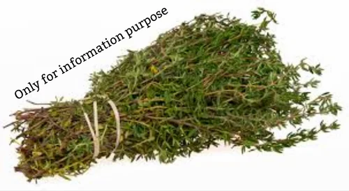 Dried Thyme Leaf (Common Thyme) - 1 kg