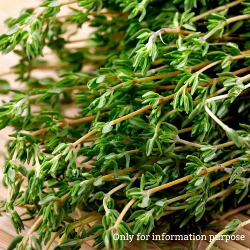English Thyme Leaves (Dried)