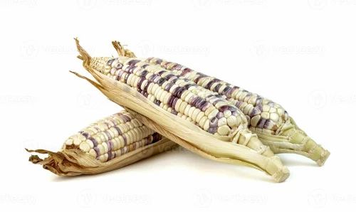 1 Kg Organic Waxy Corn