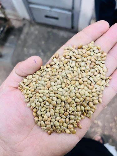 Horse Gram, Protein Content: 40