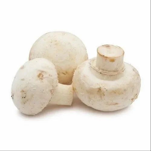 Pan India Mushroom . ., Packaging Size: 15 kg