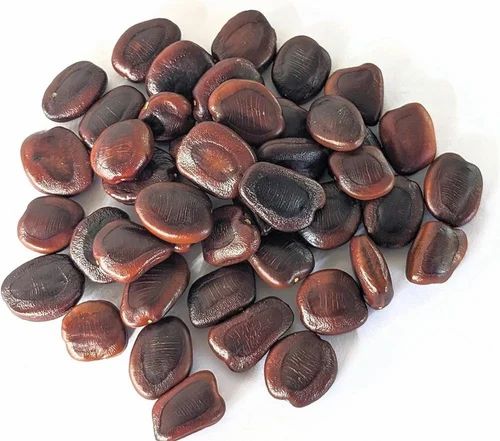 Tamarind Seed ., Packaging Size: 25 kg, Packaging Type: PP Bag