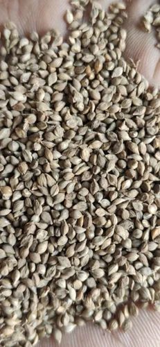 Conventional Barnyard Millet, Packaging Size: 50 kg, Polished