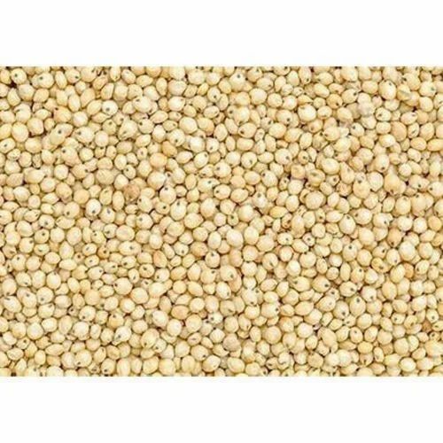 White Solapuri Dadar Jowar, Organic, 1 Kg