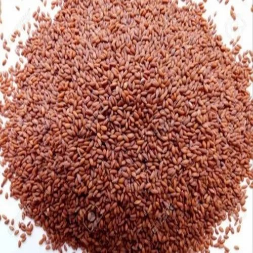 Lepidium Sativum Aselio Seeds Spice