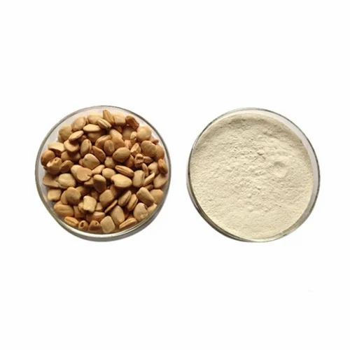 Imli Seed Powder, Packaging Size: 50 kg