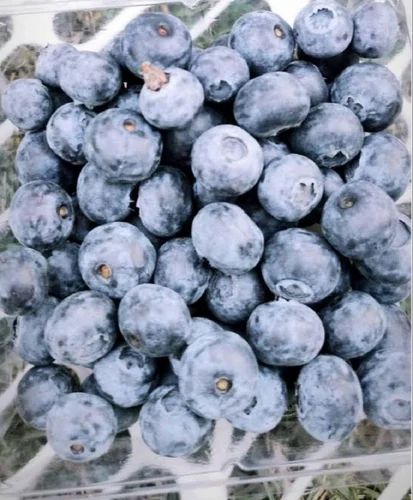 1.5kg A Grade Blueberry, Packaging Type: Box